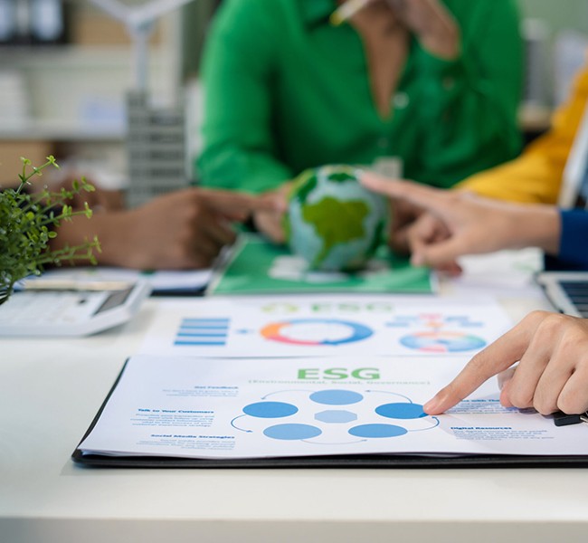 The Türkiye Sustainability Reporting Standards