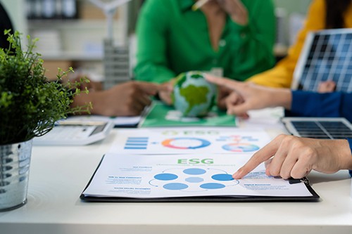 The Türkiye Sustainability Reporting Standards