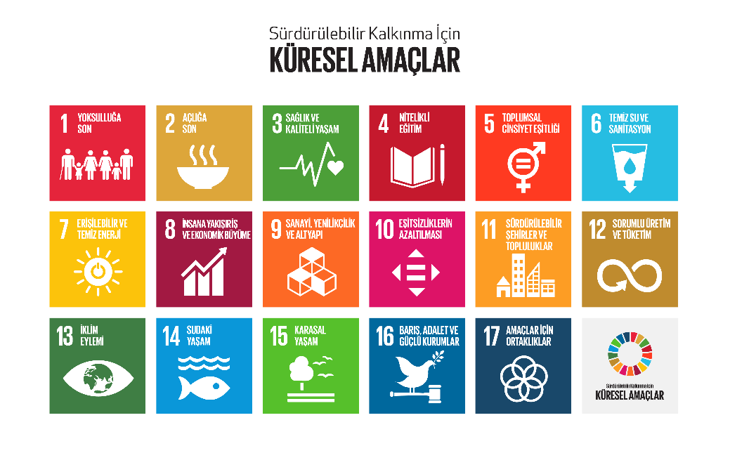 Global Goals for Sustainable Development